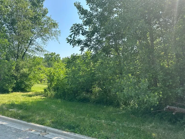 a view of a lush green space
