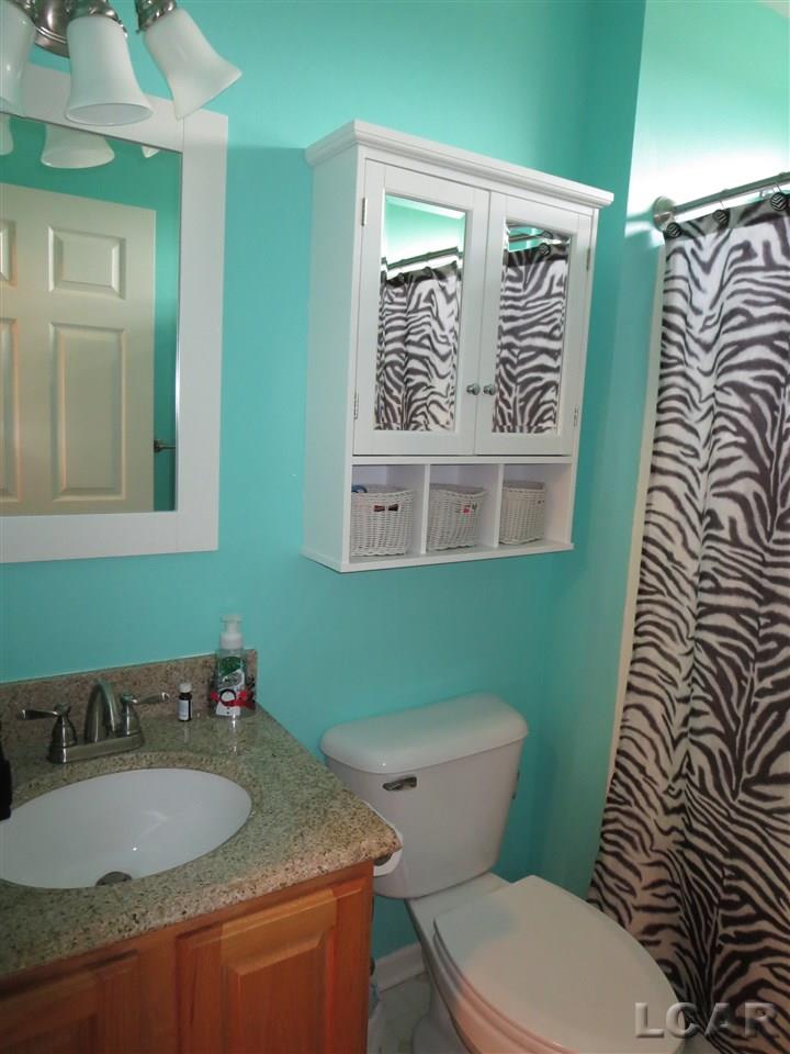 3108 Cobblestone Ridge Tecumseh, MI 49286 - Photo 21 of 32 31263579-20.JPG
