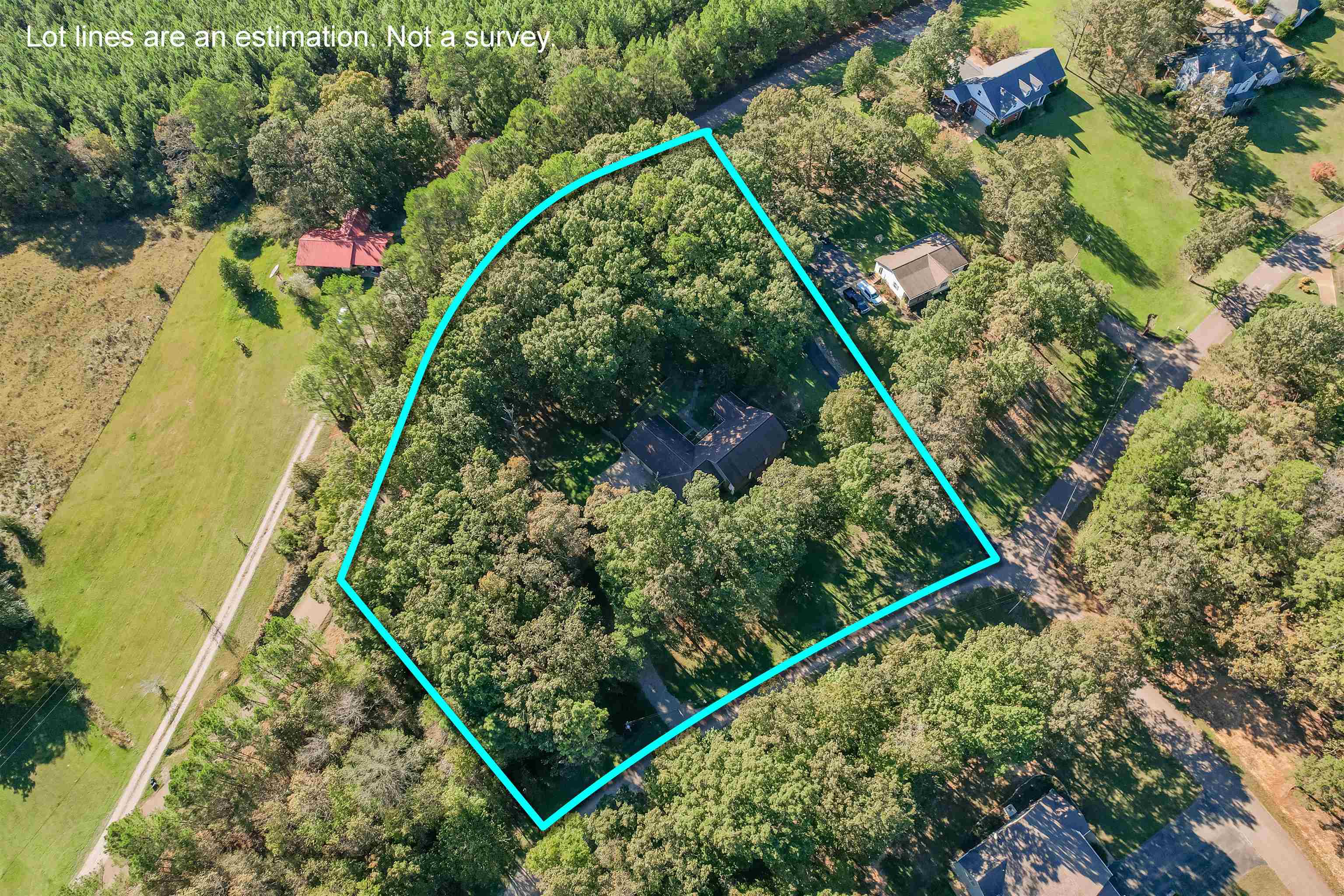 31 Timber Lane Selmer, TN 38375 - Photo 12 of 29