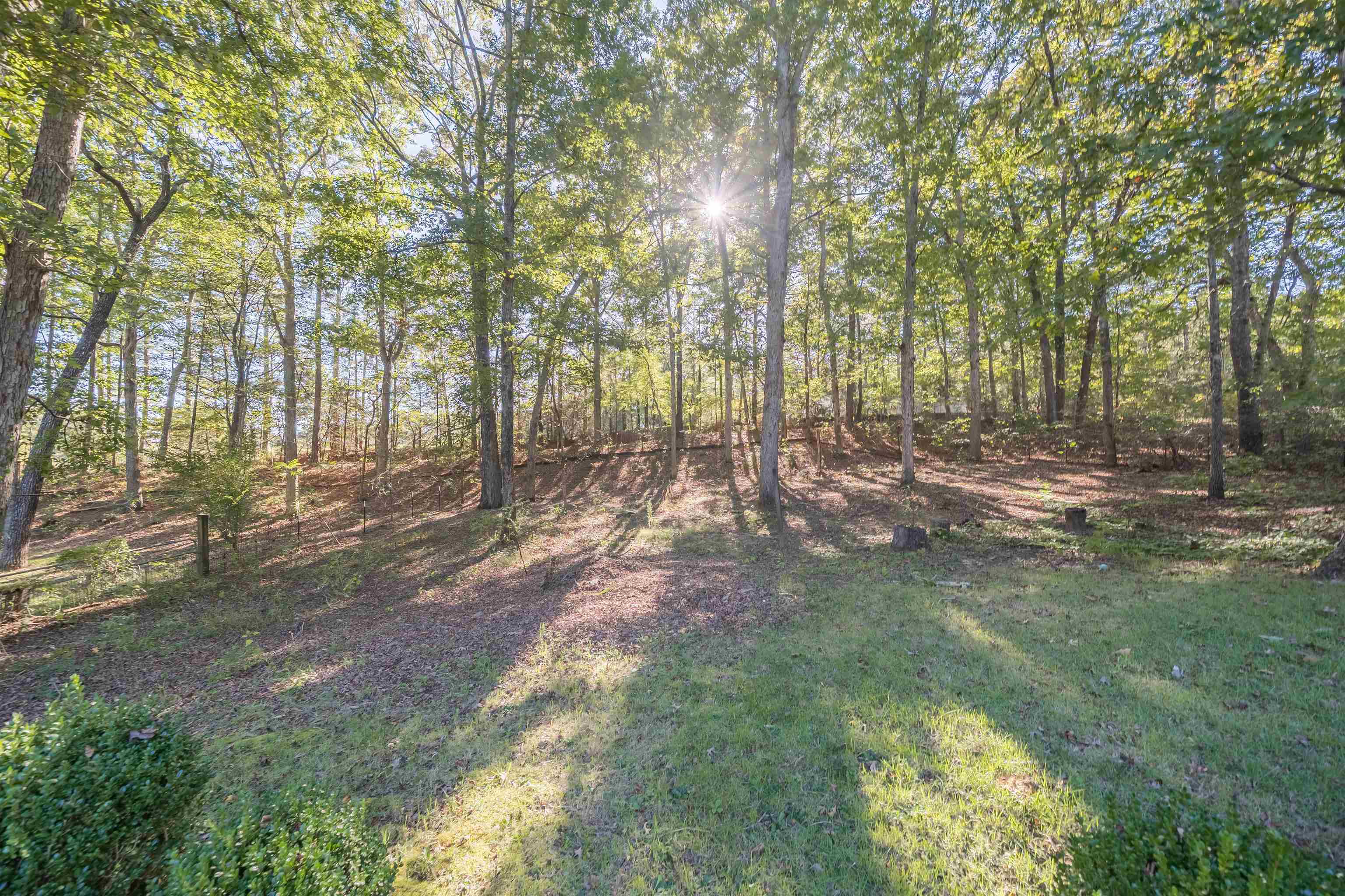 31 Timber Lane Selmer, TN 38375 - Photo 8 of 29 a backyard of a house with lots of green space