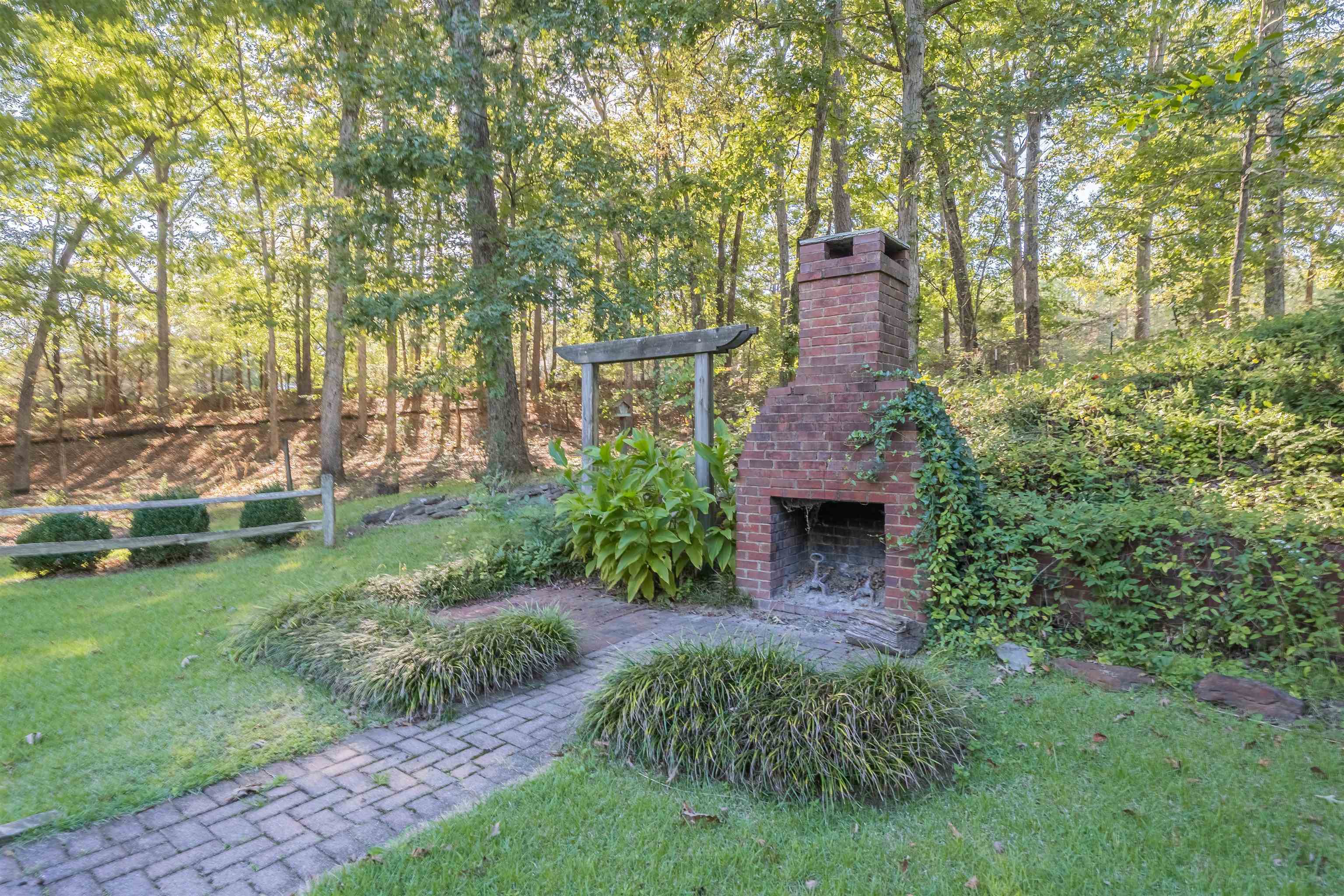31 Timber Lane Selmer, TN 38375 - Photo 9 of 29 a view of a garden with plants and large trees