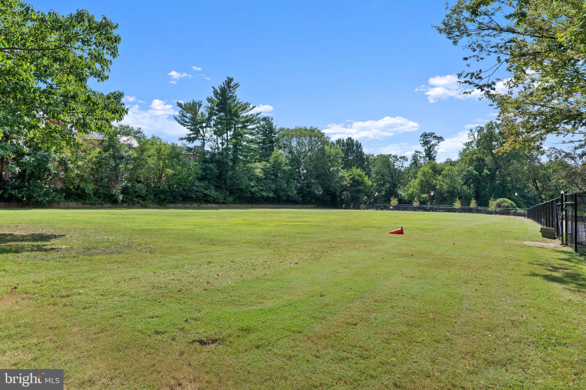 2800 Adams Mill Road Northwest, Unit 3 Washington, DC 20009 - Photo 28 of 40