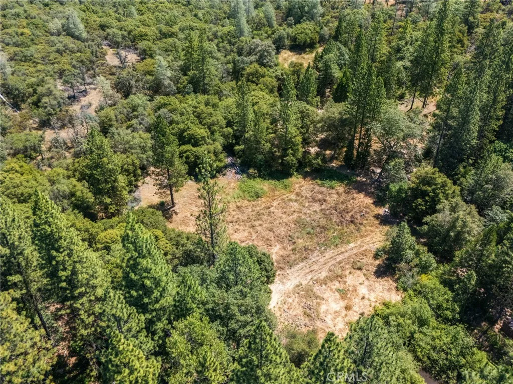 7859 Reed Rackerby, CA 95972 - Photo 5 of 22