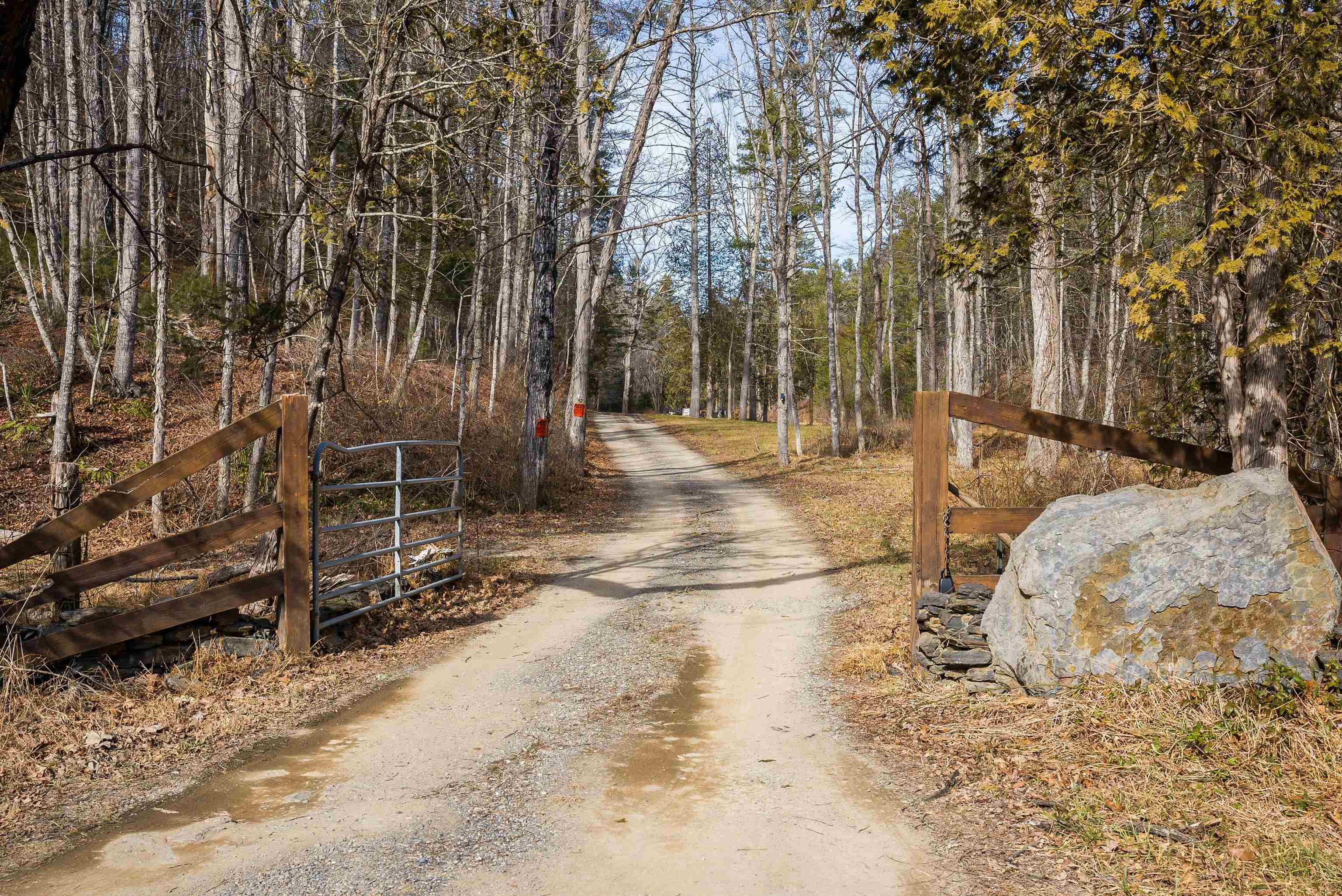 595 Deerfield Valley Road West Augusta, VA 24485 - Photo 13 of 71 a view of empty yard with trees