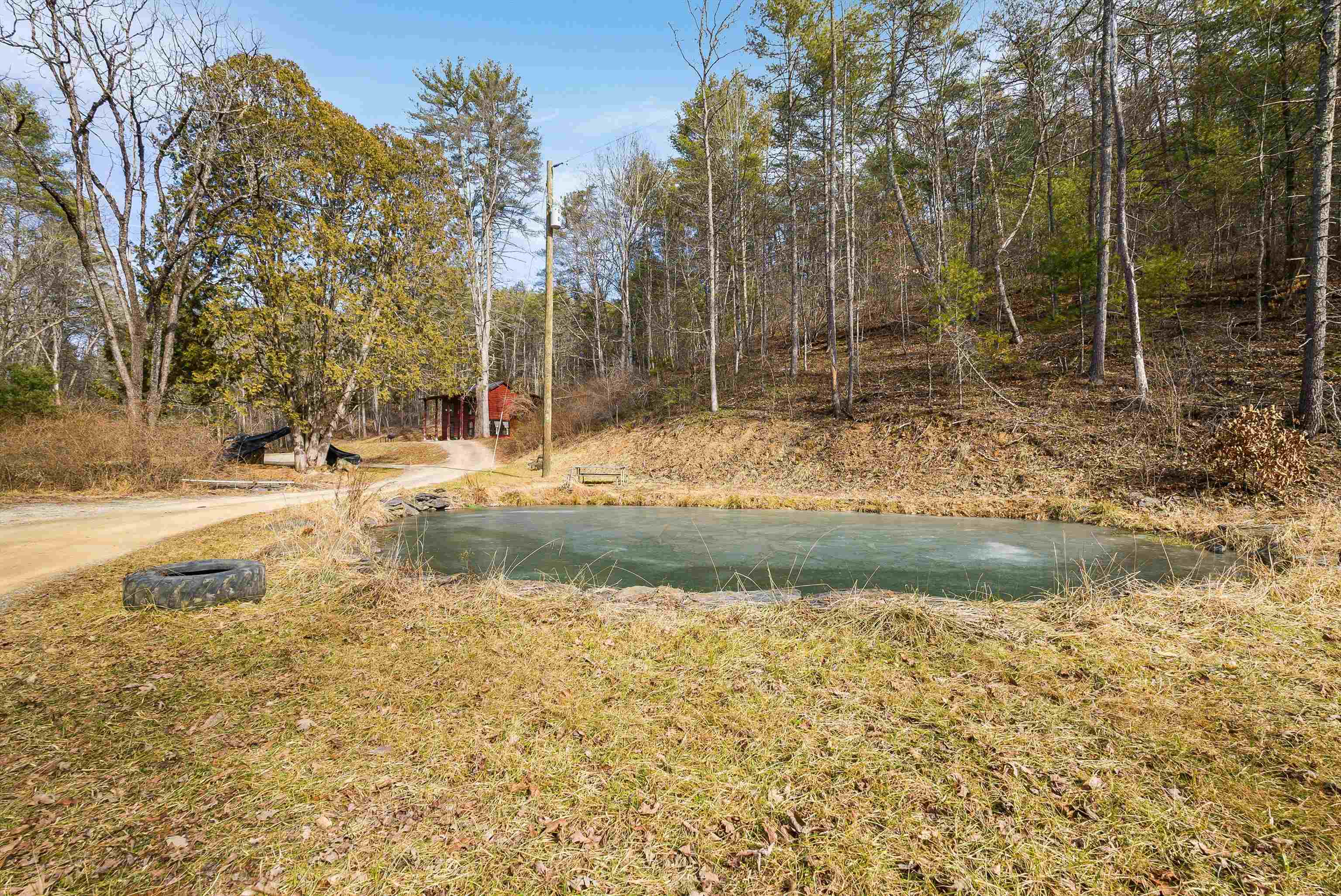 595 Deerfield Valley Road West Augusta, VA 24485 - Photo 16 of 71 a view of a yard with a tree