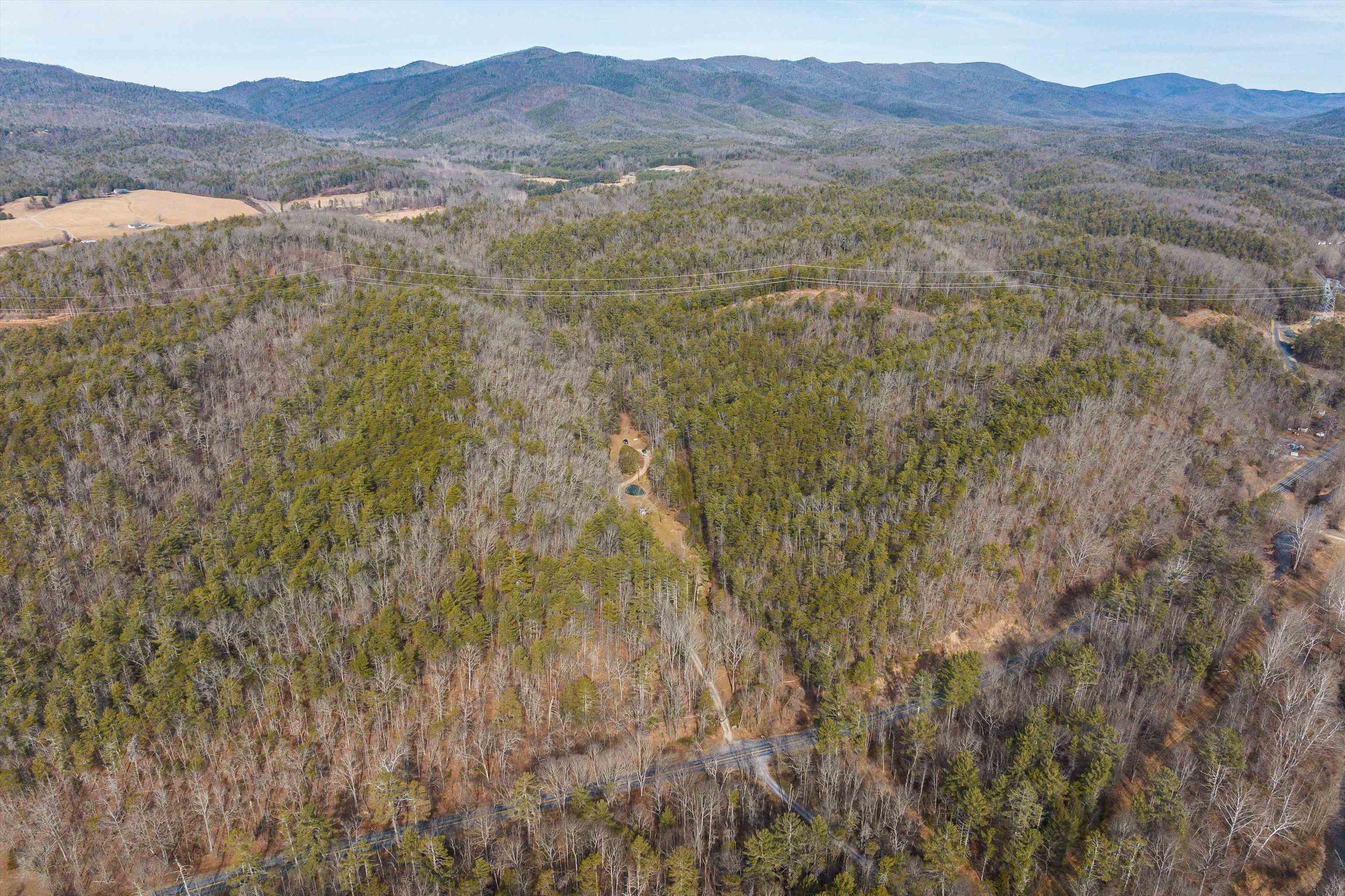 595 Deerfield Valley Road West Augusta, VA 24485 - Photo 21 of 71 a view of mountain and a forest