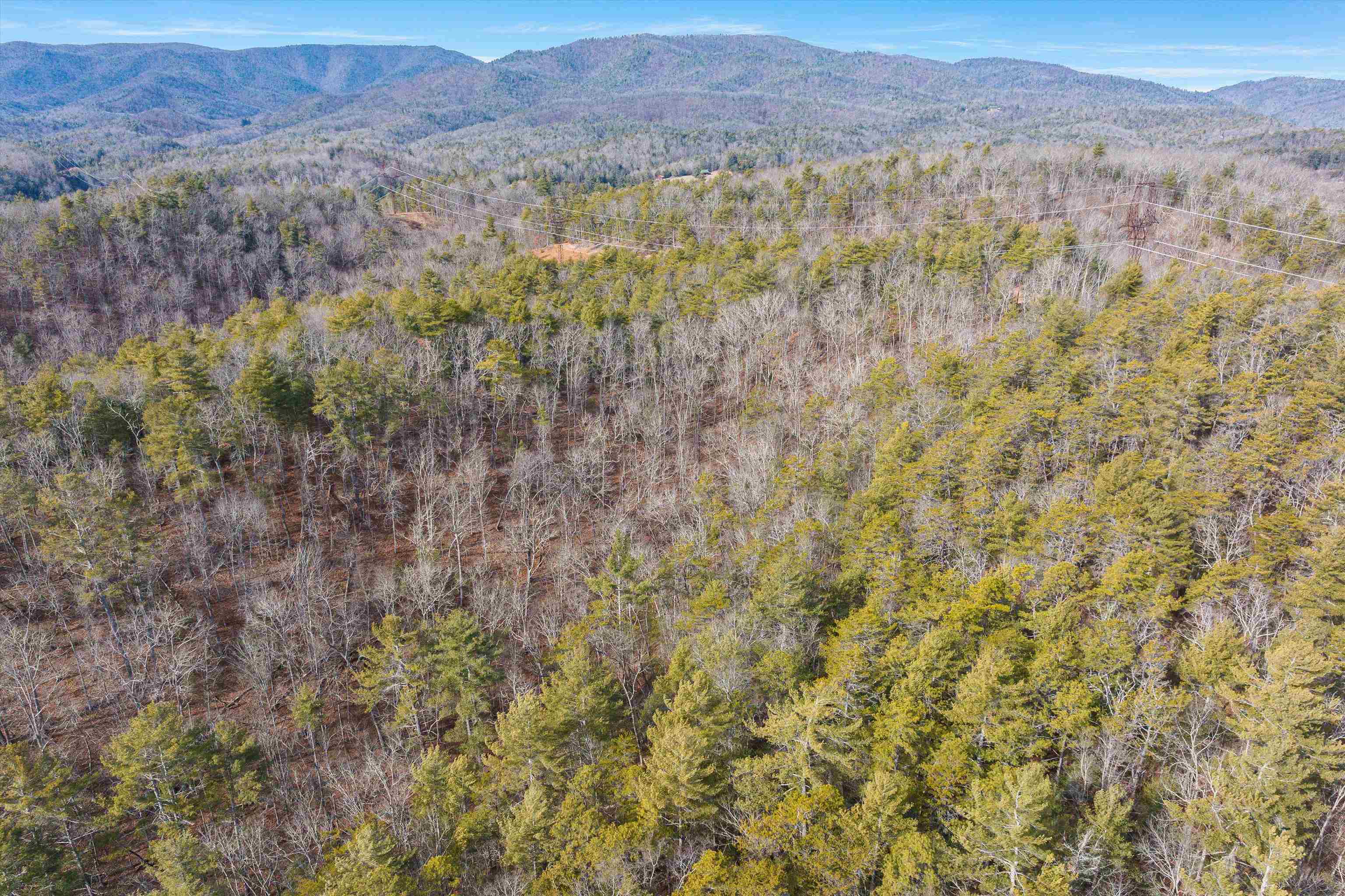 595 Deerfield Valley Road West Augusta, VA 24485 - Photo 25 of 71 a view of mountain and tree