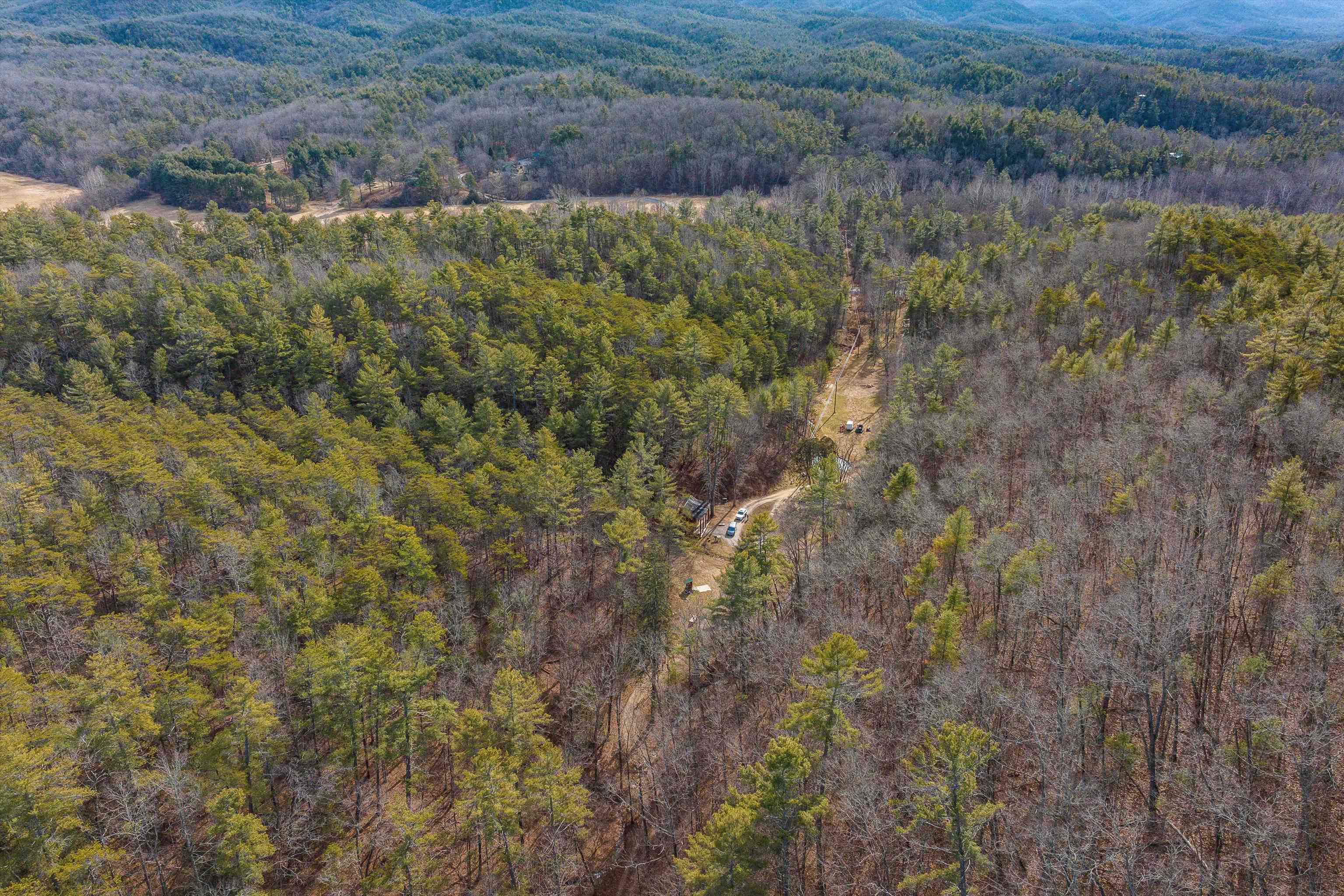 595 Deerfield Valley Road West Augusta, VA 24485 - Photo 26 of 71 a view of a field of grass and trees