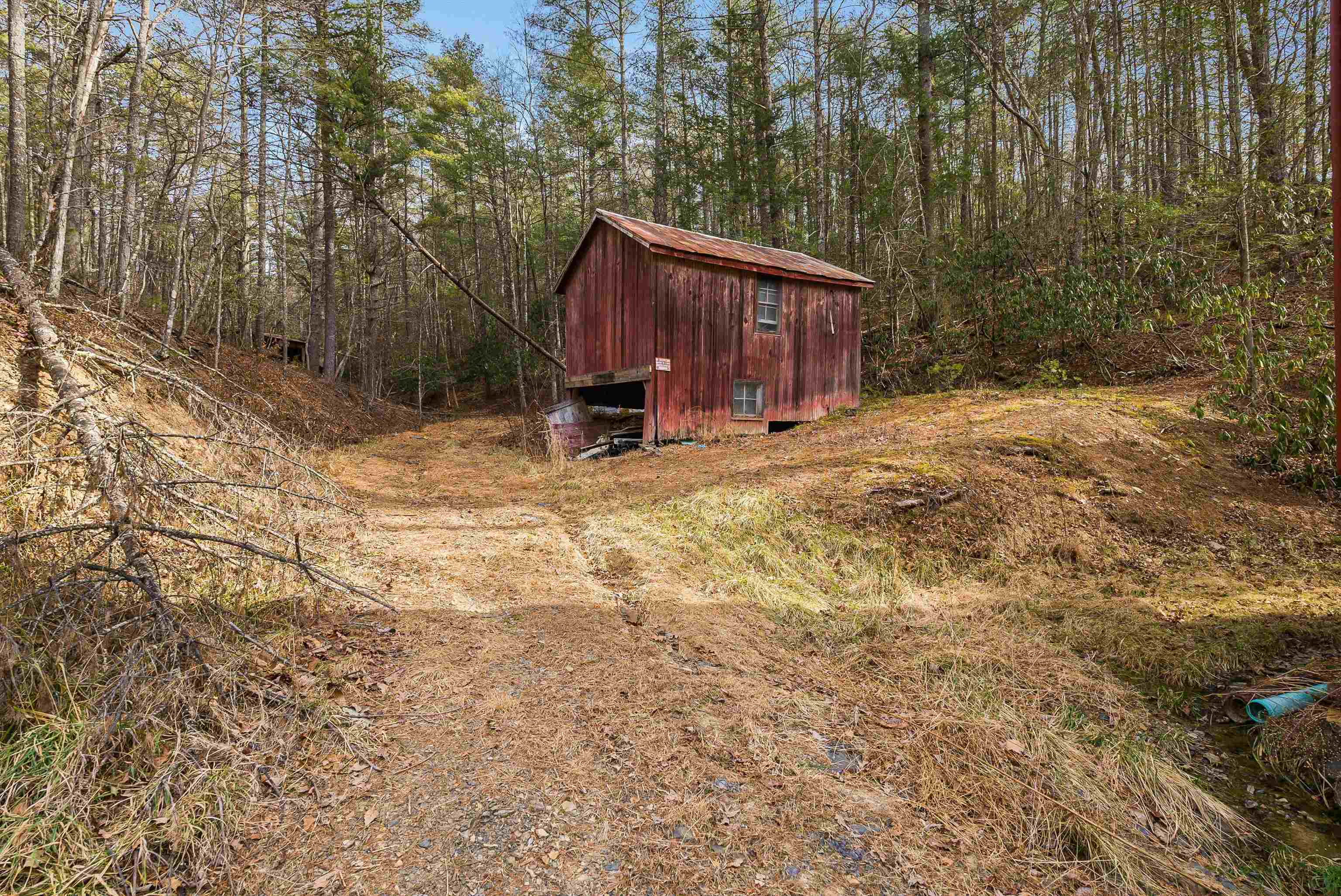 595 Deerfield Valley Road West Augusta, VA 24485 - Photo 63 of 71 a view of backyard with small cabin