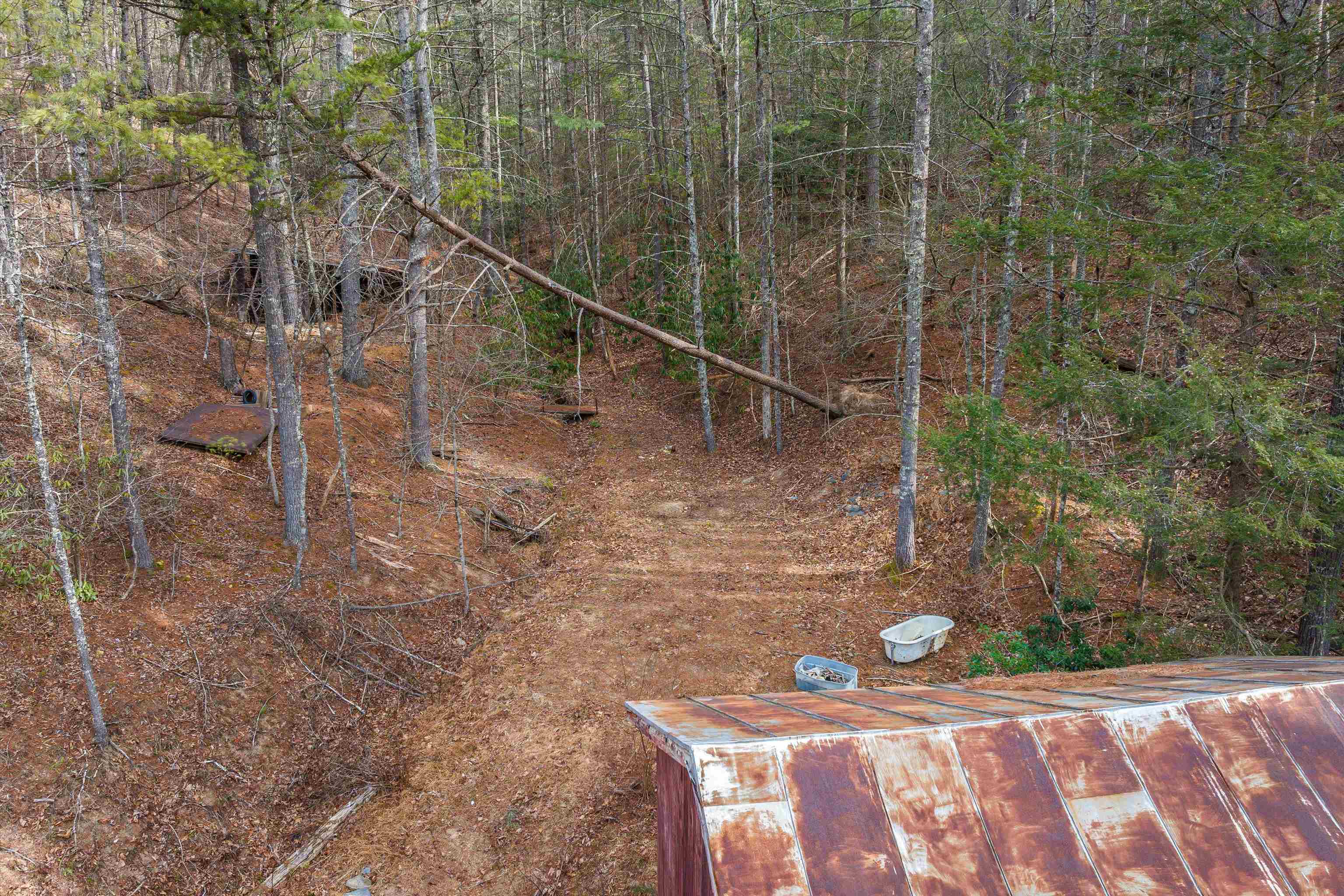 595 Deerfield Valley Road West Augusta, VA 24485 - Photo 65 of 71