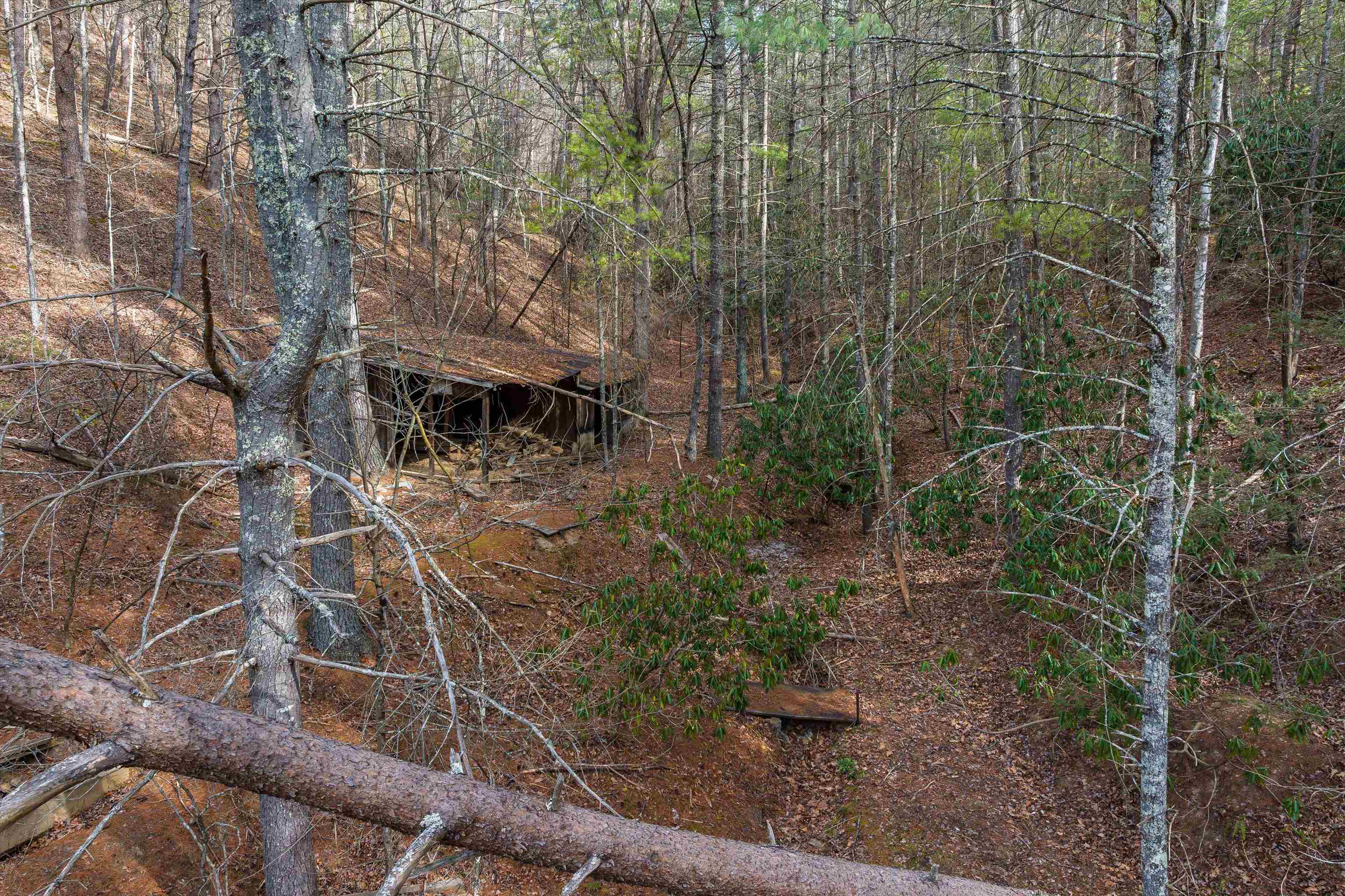 595 Deerfield Valley Road West Augusta, VA 24485 - Photo 66 of 71 a view of a pathway both side of building