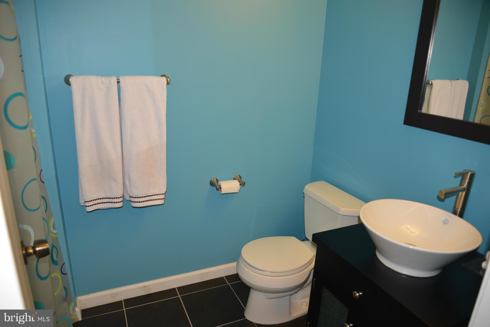 2685 Cameron Way Frederick, MD 21701 - Photo 24 of 30 Full bath in the lower level!