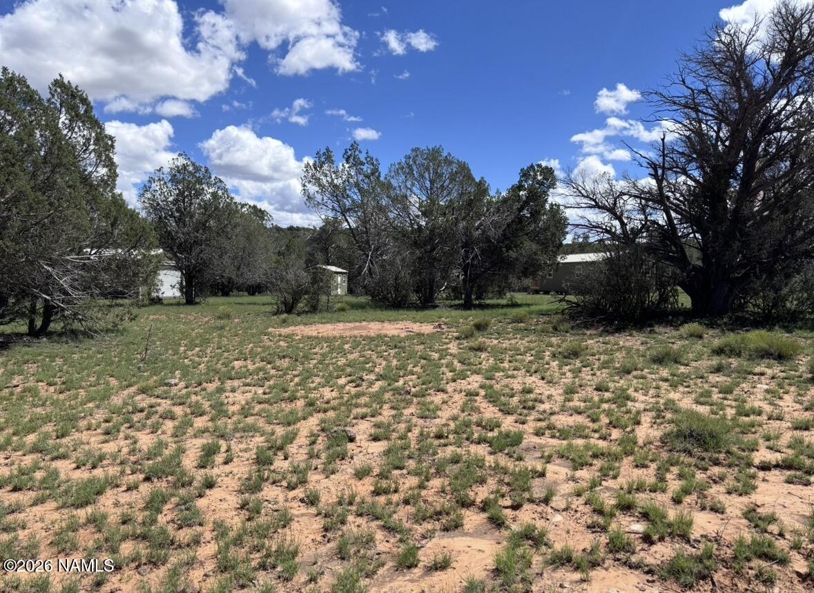 220 East Six Shooter Road Williams, AZ 86046 - Photo 24 of 32 IMG_4367
