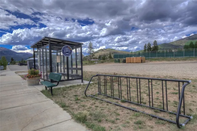 a view of a park with large trees