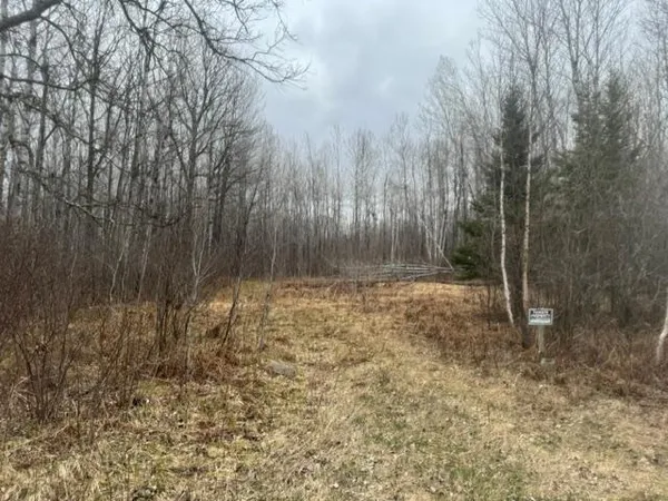 $79,900 | Xxx Xxx Frazer Road, Deer River, MN 56636