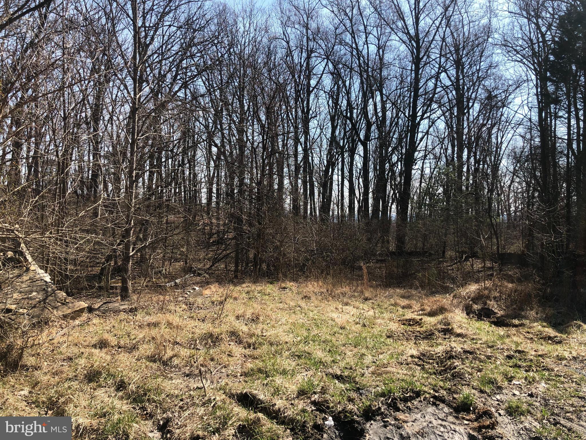 7125 Edgemont Road Frederick, MD 21702 - Photo 3 of 4