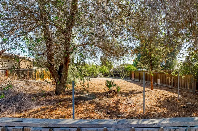 a view of a yard with large tree