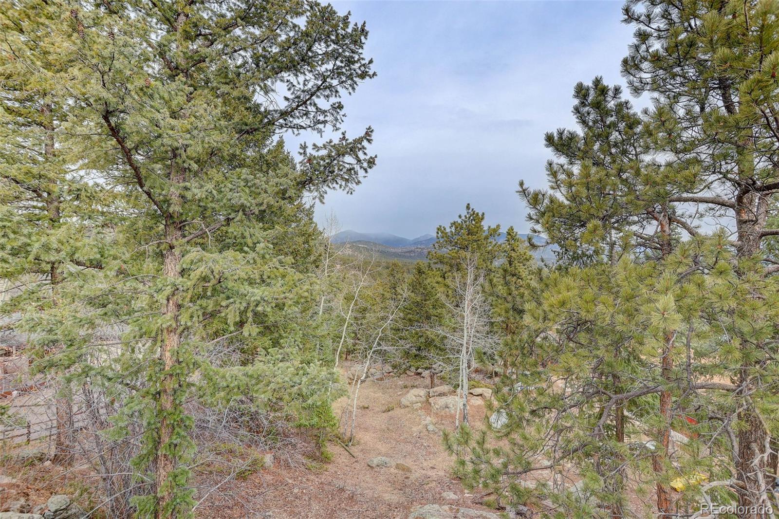 27857 Apex Circle Evergreen, CO 80439 - Photo 27 of 37