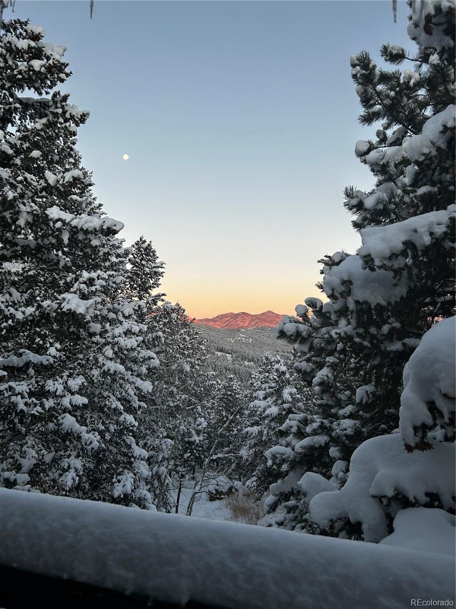 27857 Apex Circle Evergreen, CO 80439 - Photo 35 of 37 a view of a tree in a field