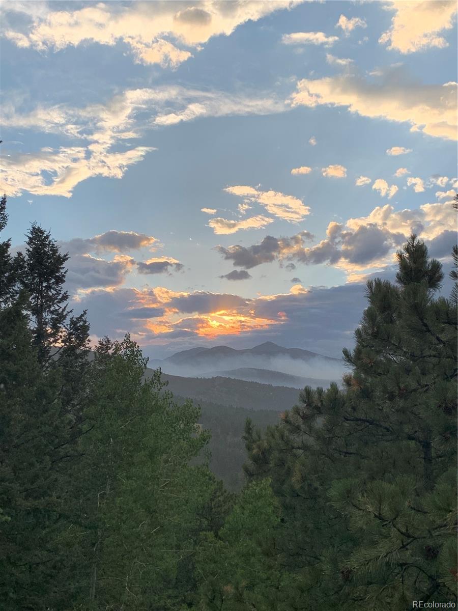 27857 Apex Circle Evergreen, CO 80439 - Photo 37 of 37