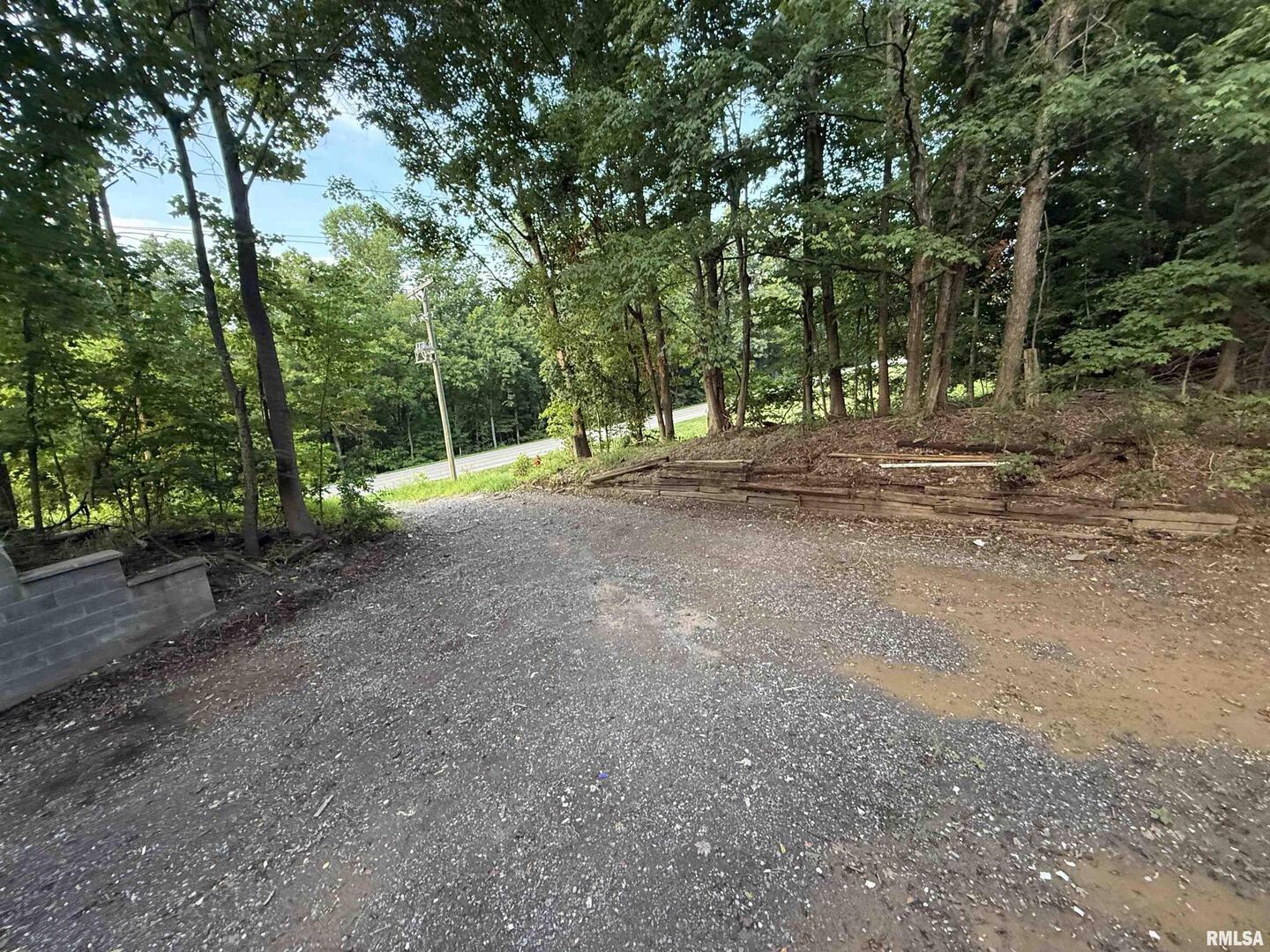 9049 Grassy Road Marion, IL 62959 - Photo 37 of 45 a view of a field with trees in the background