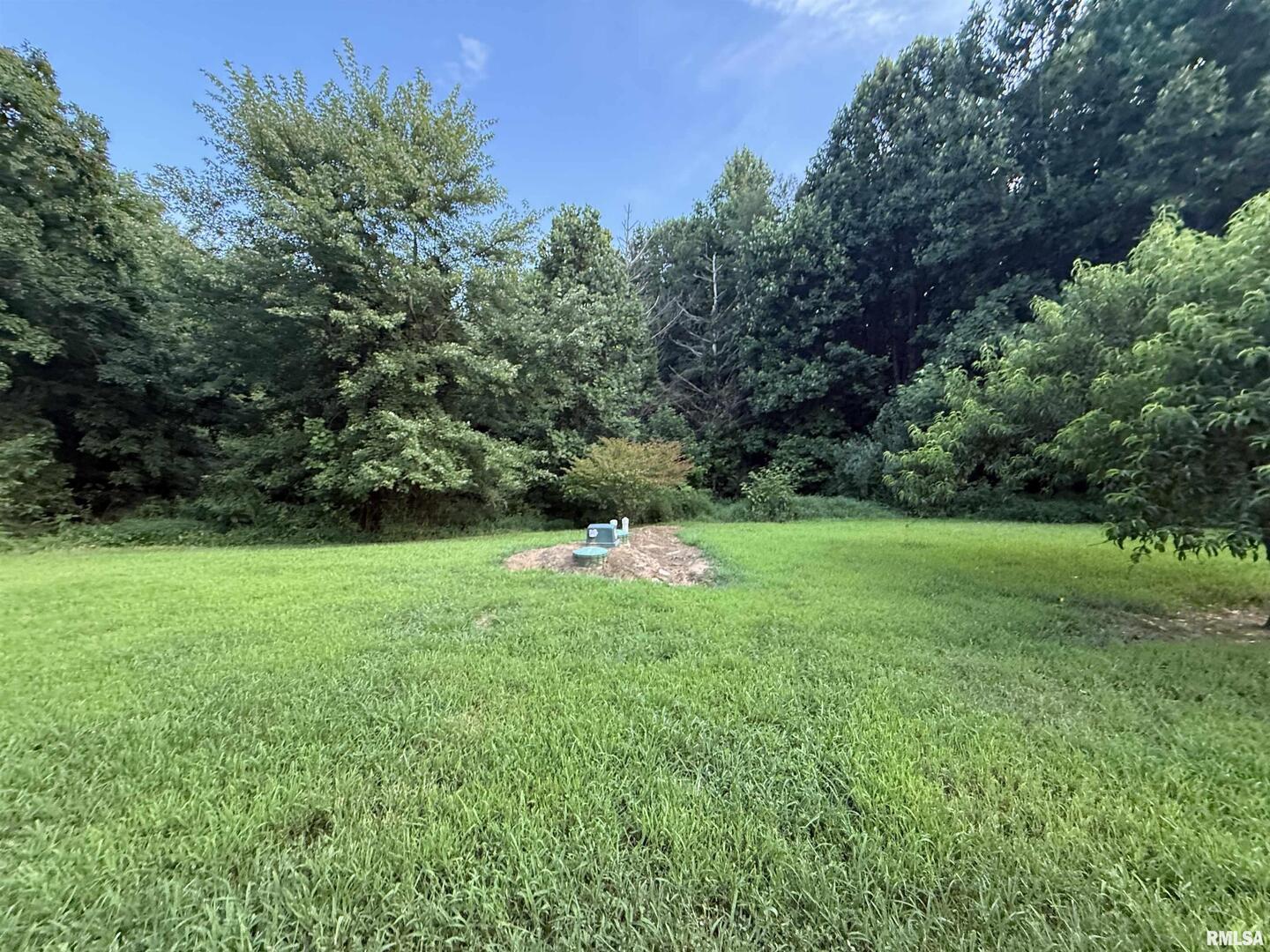 9049 Grassy Road Marion, IL 62959 - Photo 39 of 45 a backyard of a house with plants and large trees