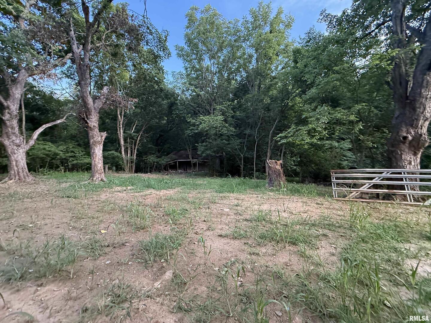 9049 Grassy Road Marion, IL 62959 - Photo 43 of 45 a view of backyard with green space