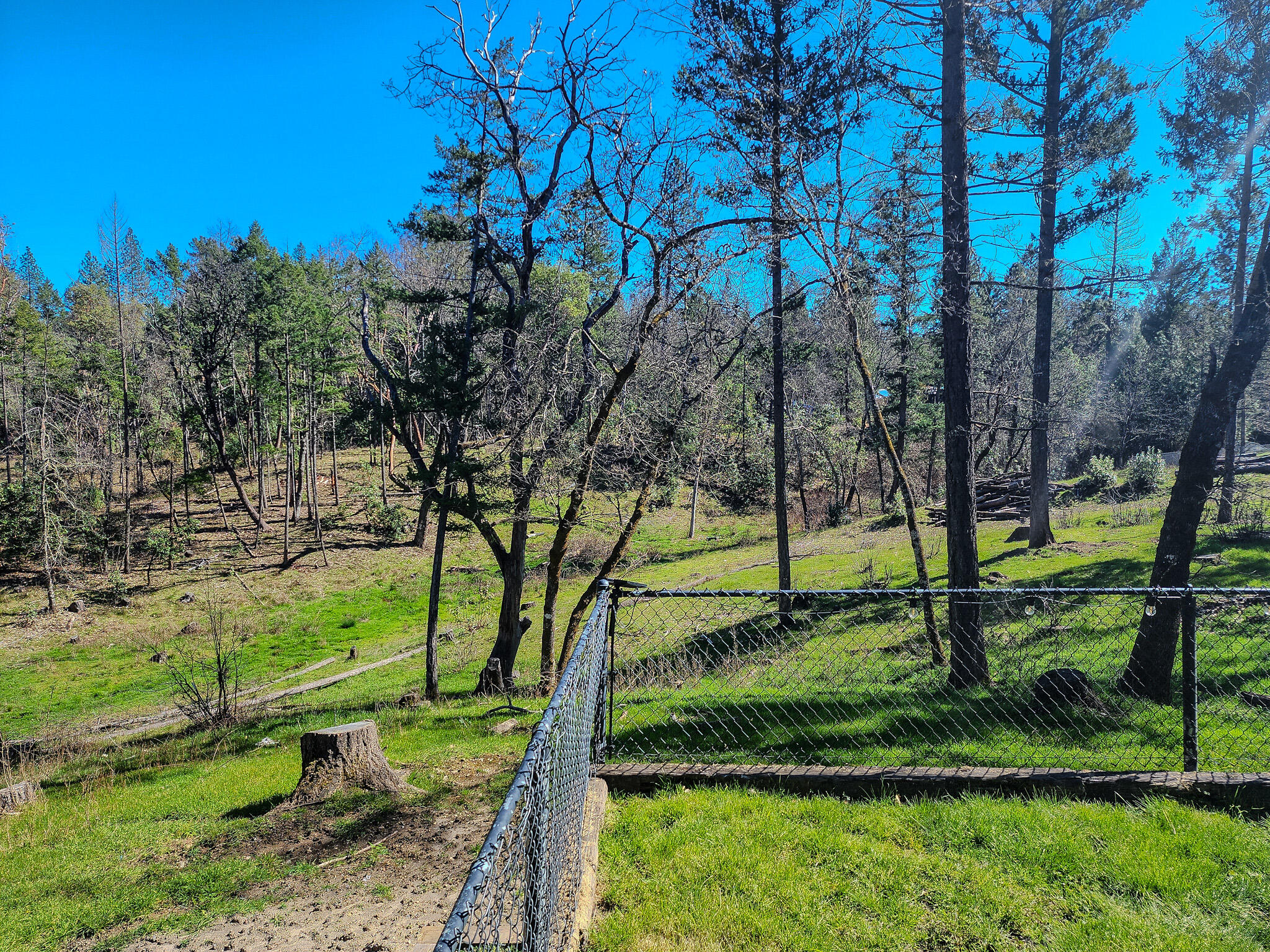 1707 Robinson Road Grants Pass, OR 97527 - Photo 31 of 40 Back fence view
