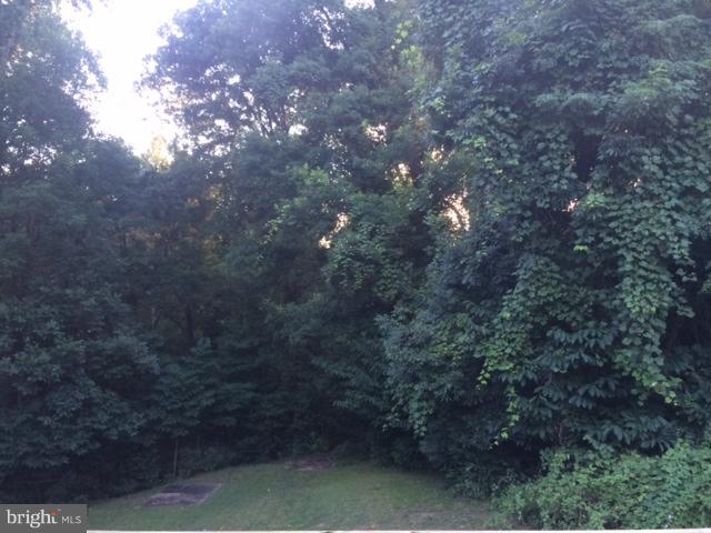 8317 Manor View Road Lusby, MD 20657 - Photo 13 of 16 Backyard