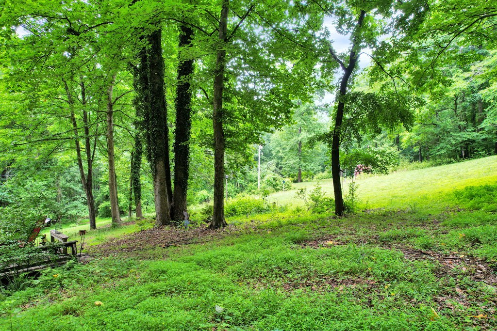134 Mc Kinney Road Harriman, TN 37748 - Photo 15 of 31