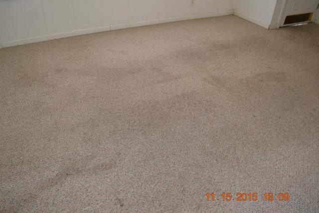167 Spring Street Dunlap, TN 37327 - Photo 37 of 66 LR (2)