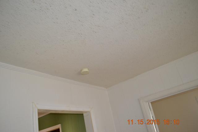 167 Spring Street Dunlap, TN 37327 - Photo 42 of 66 LR (8)