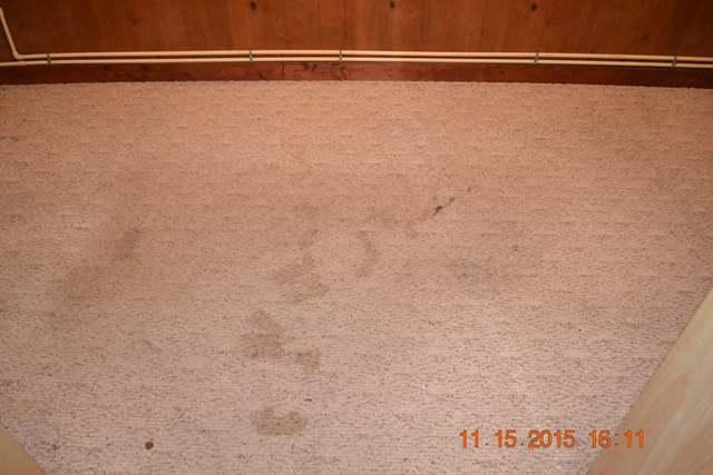 167 Spring Street Dunlap, TN 37327 - Photo 60 of 66 UtilityRoom-Closet (3)