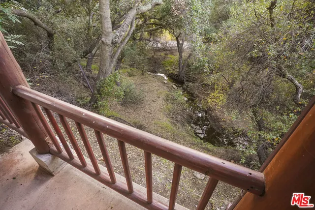 a view of a yard with large trees