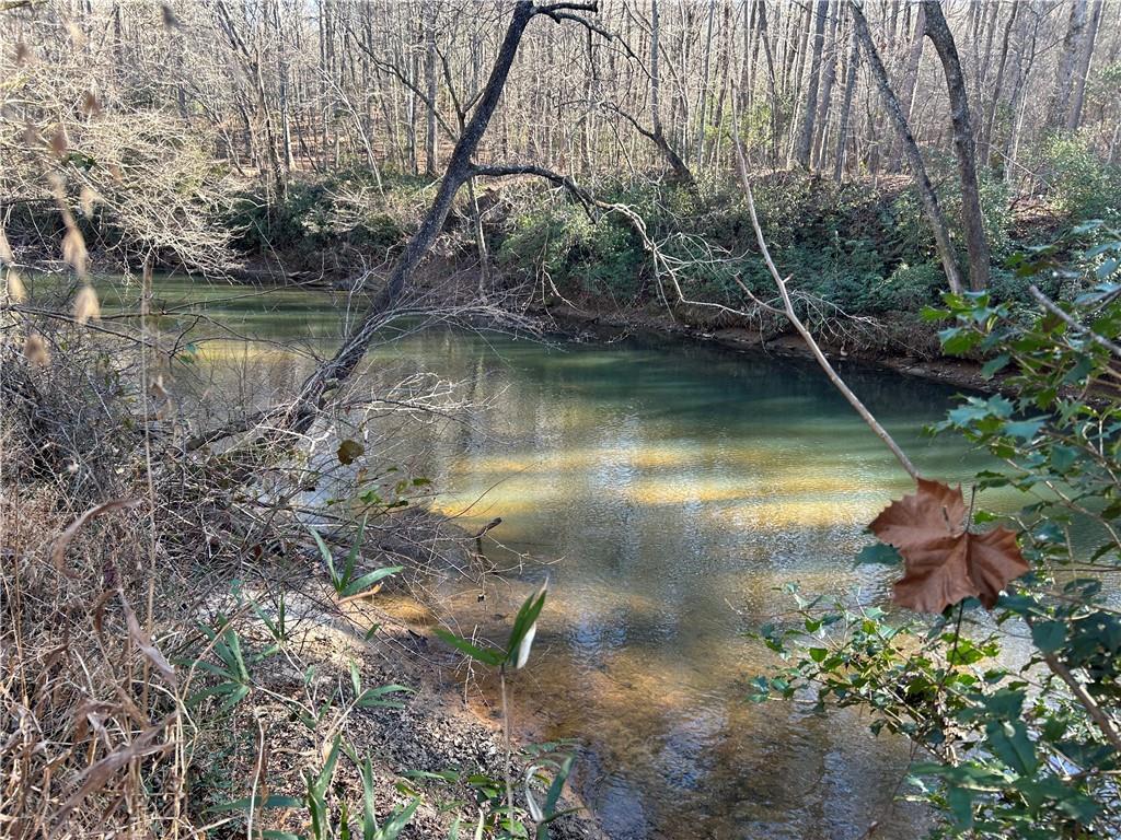 0 Twin River Orchard Road Demorest, GA 30535 - Photo 15 of 63