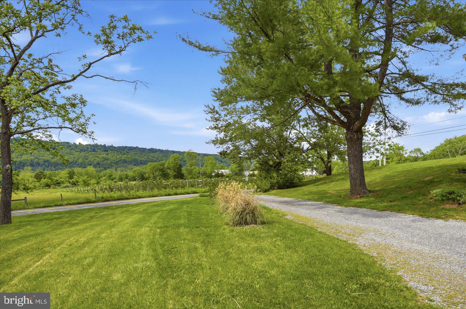 2879 Christian Church Road High View, WV 26808 - Photo 6 of 106 View / yard / drive