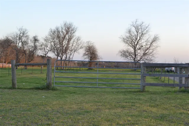 a view of a park with large trees