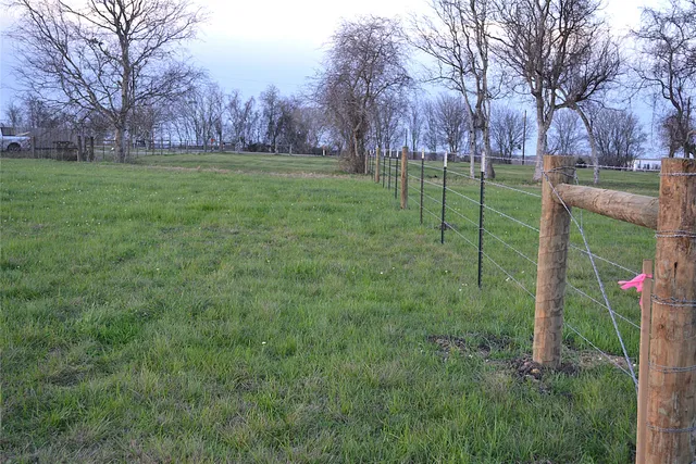 a view of a field with a tree