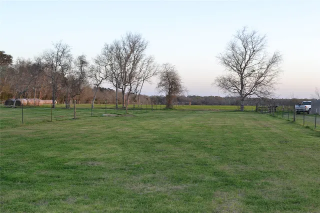a view of a field with a tree