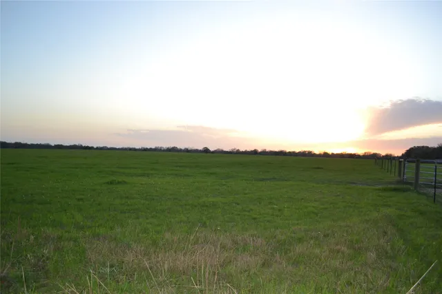 a view of grassy field with trees