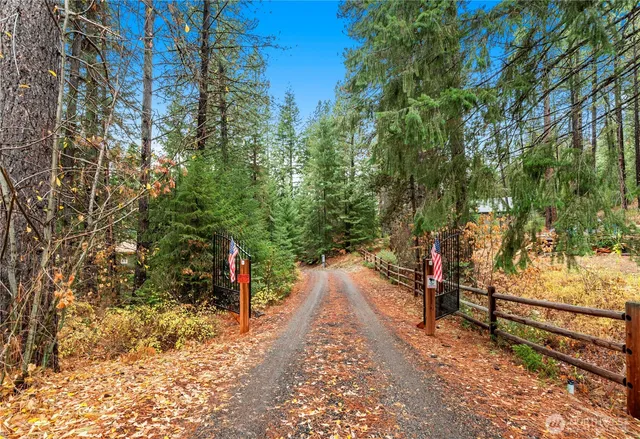 a view of a park with large trees