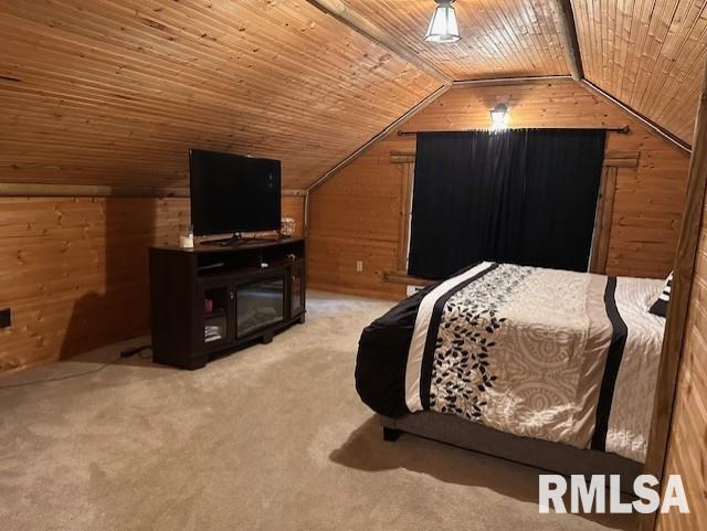 143 Prospect Street Jacksonville, IL 62650 - Photo 37 of 55