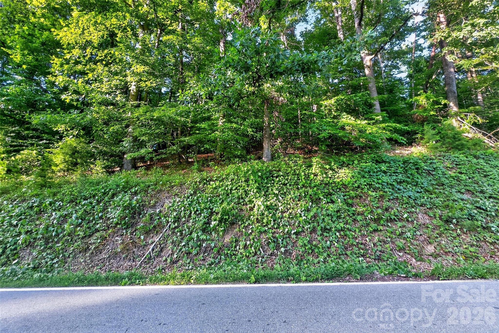 0 Yancey Road Marion, NC 28752 - Photo 20 of 32 a view of backyard with small yard