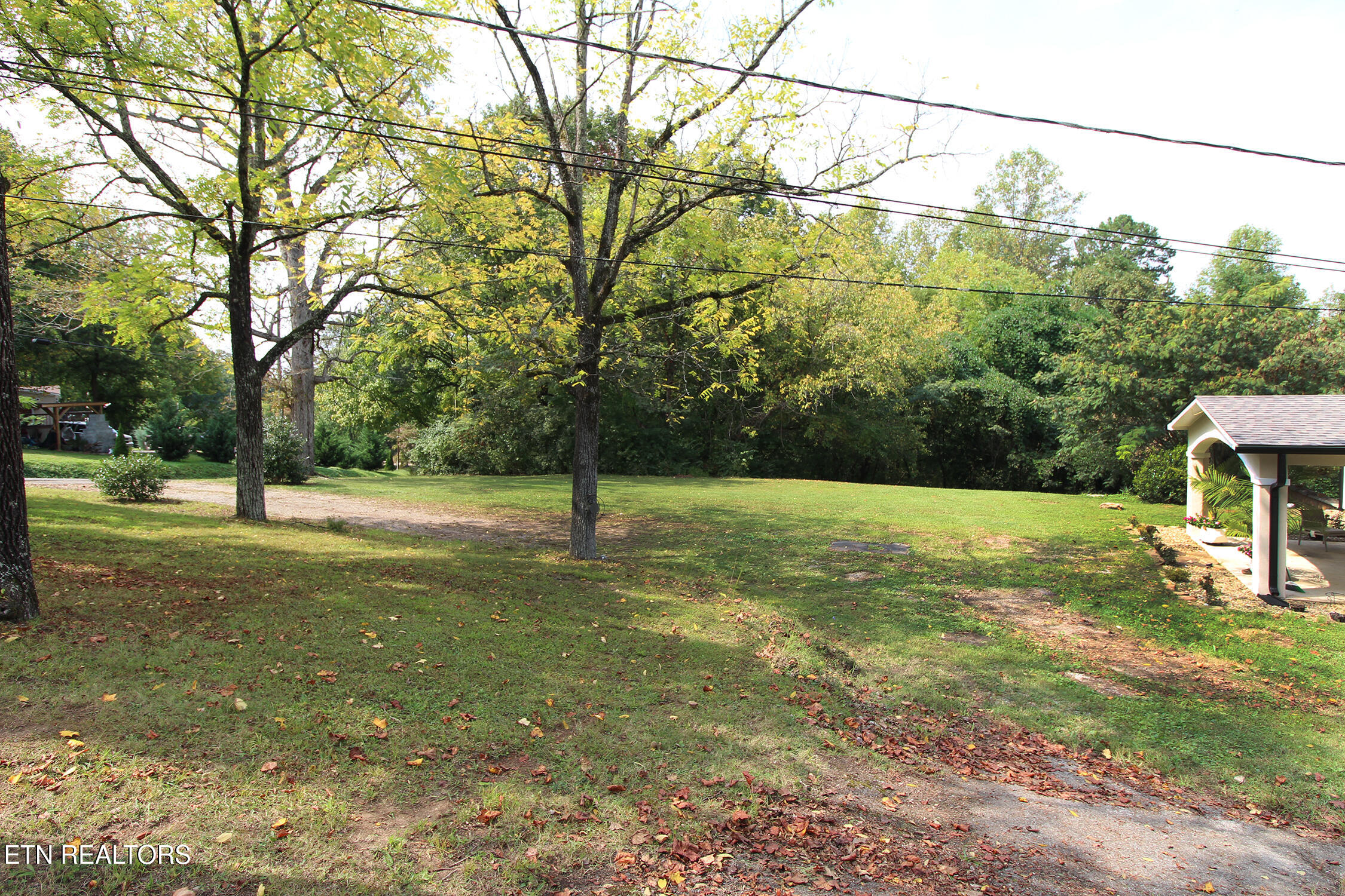 6214 Lacy Road Knoxville, TN 37912 - Photo 32 of 37 IMG_6480