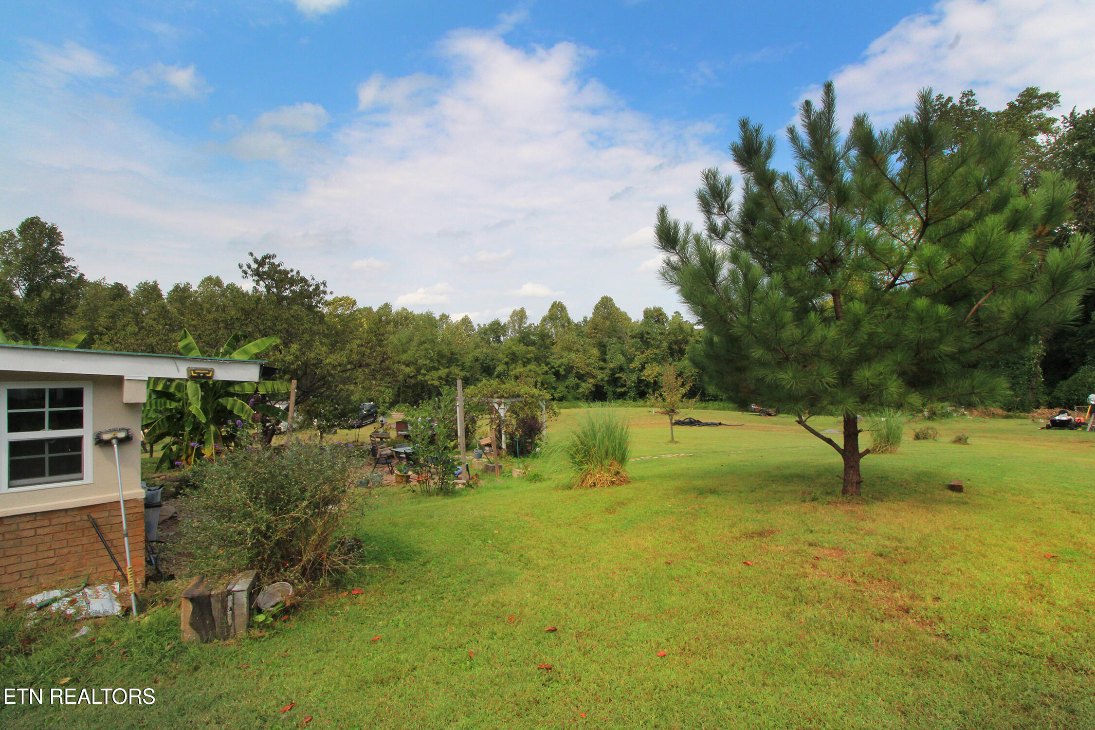 6214 Lacy Road Knoxville, TN 37912 - Photo 33 of 37 IMG_6462