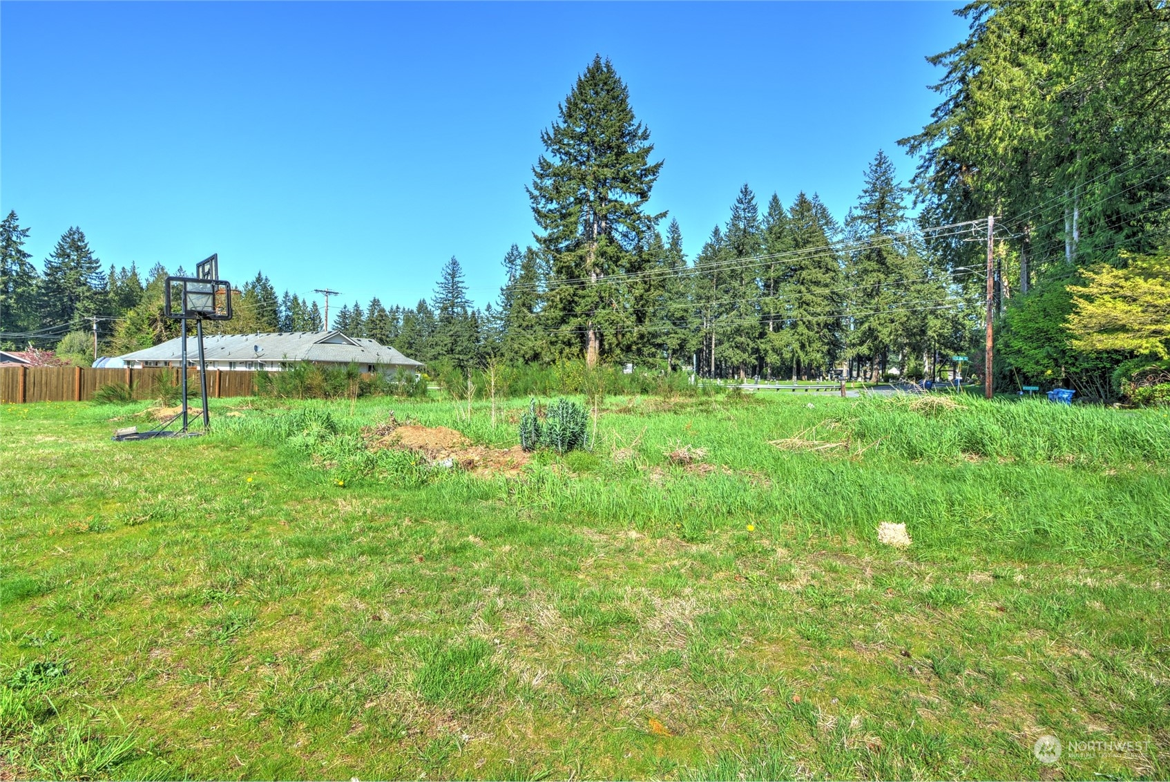 21405 Calhoun Road Monroe, WA 98272 - Photo 9 of 36 a view of a park with large trees