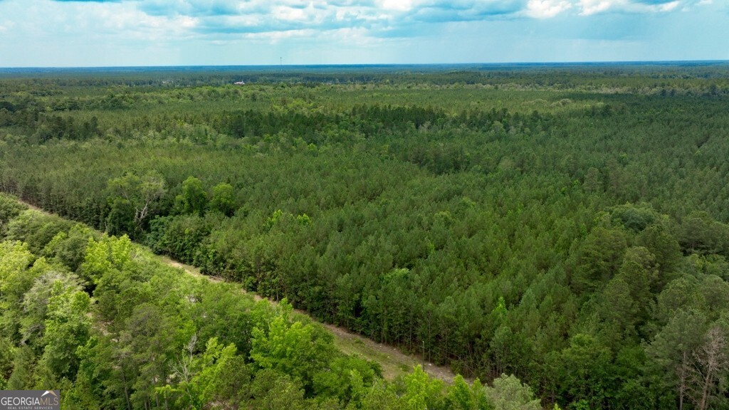 0 Highway 204 & Carlos Cowart Road Pembroke, GA 31321 - Photo 12 of 47