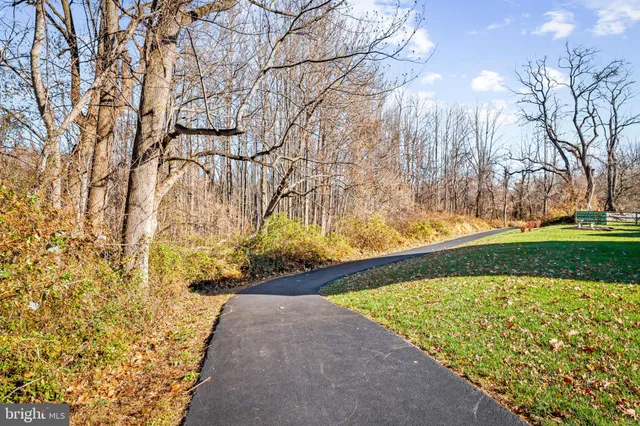 a view of yard along with trees