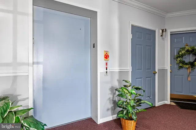 a plant room with wooden floor and a potted plant