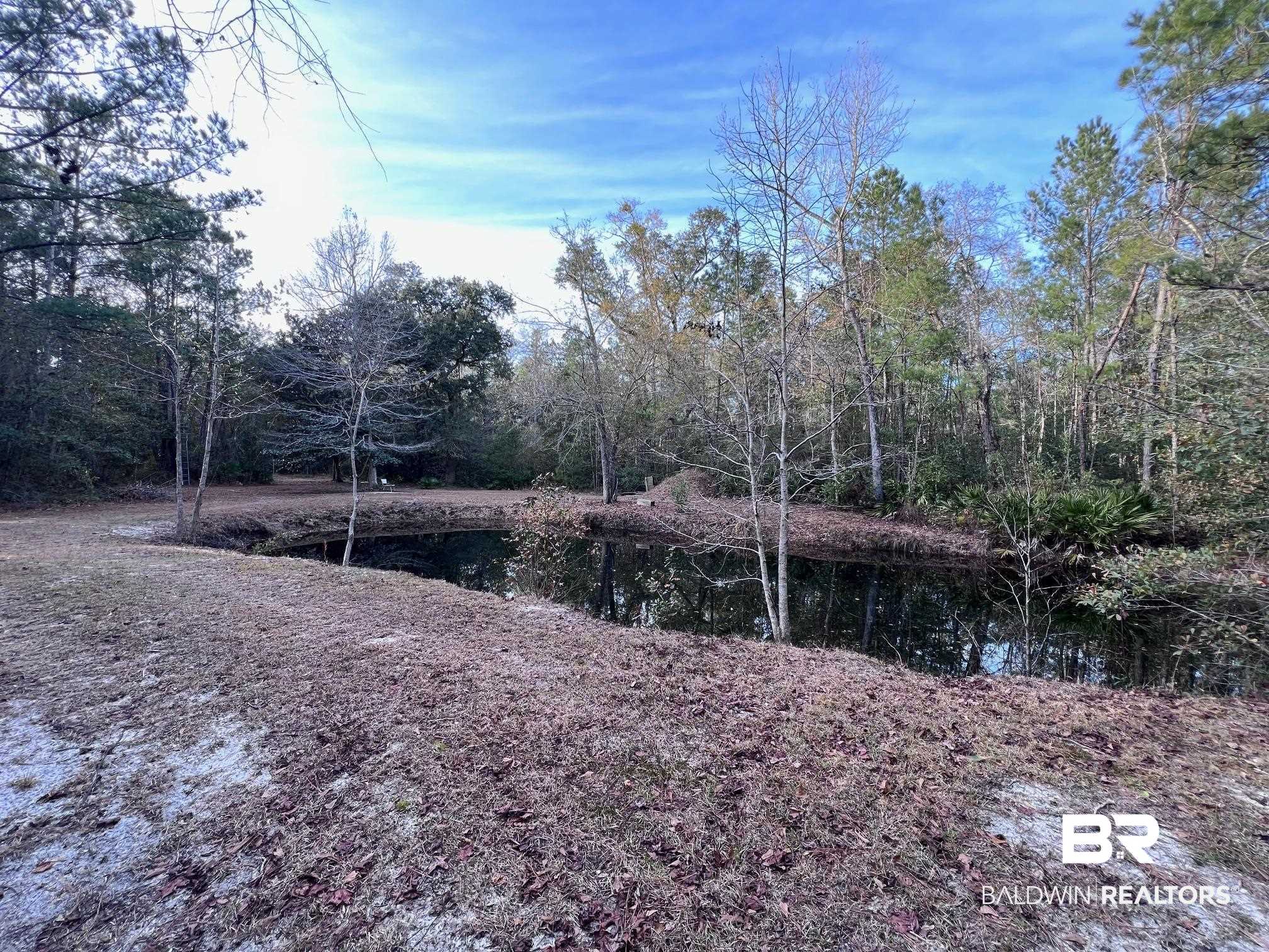 11327 County Road 26 Foley, AL 36535 - Photo 6 of 51 Second Pond